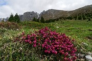 Monte Visolo (2369 m) dal Passo della Presolana in primaverile il 29 aprile 2015 - FOTOGALLERY